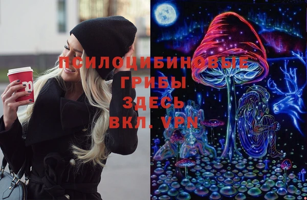МДПВ Алексеевка