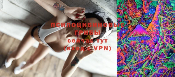 МДПВ Алексеевка