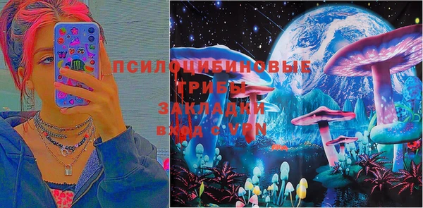 гидра Алексин