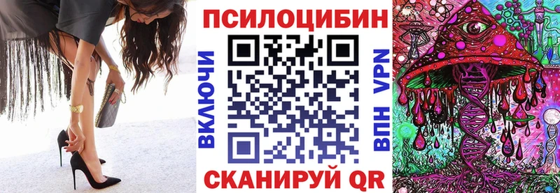 где можно купить наркотик Бирюч Псилоцибиновые грибы прущие грибы